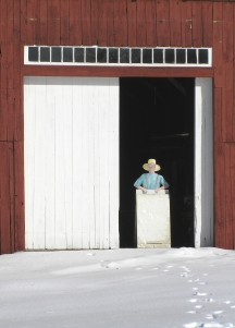 The Red Barn Door The Red Barn Door